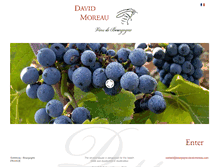 Tablet Screenshot of bourgogne-david-moreau.com